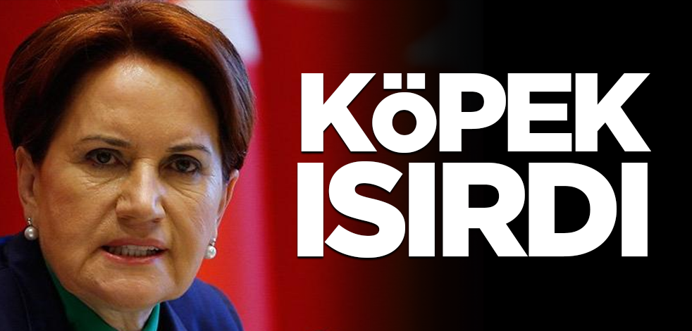 Akşener'i köpek ısırdı