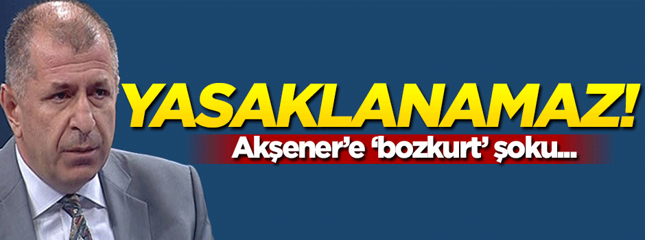 Akşener'in partisinde 'Bozkurt' çatlağı: Yasaklanamaz!