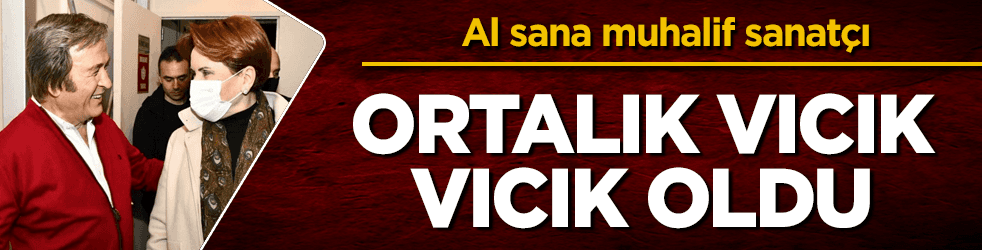 Akşener'le Erol Evgin buluştu, ortalık vıcık vıcık oldu