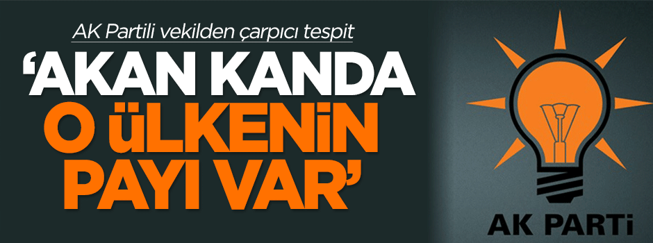 Aktay: Akan kanda ABD'nin payı var