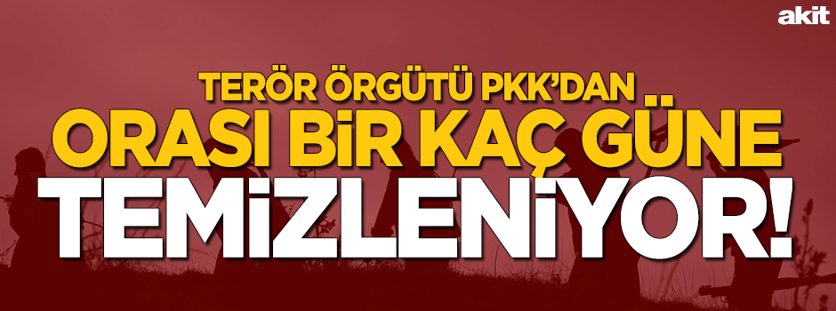 Ala: Cizre ve Sur temizlenecek