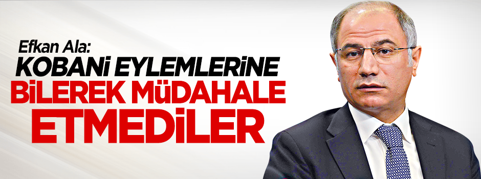 Ala: Paralel kamu görevlileri bilerek müdahale etmedi