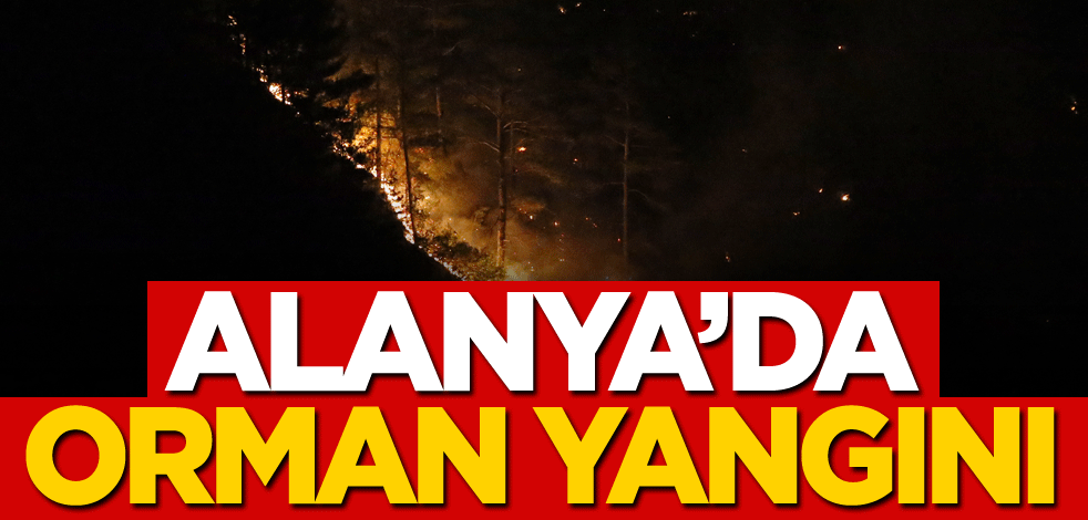 Alanya'da orman yangını