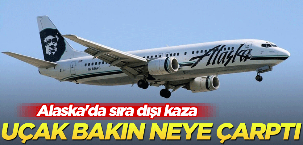 Alaska'da sıra dışı kaza: Uçak bakın neye çarptı