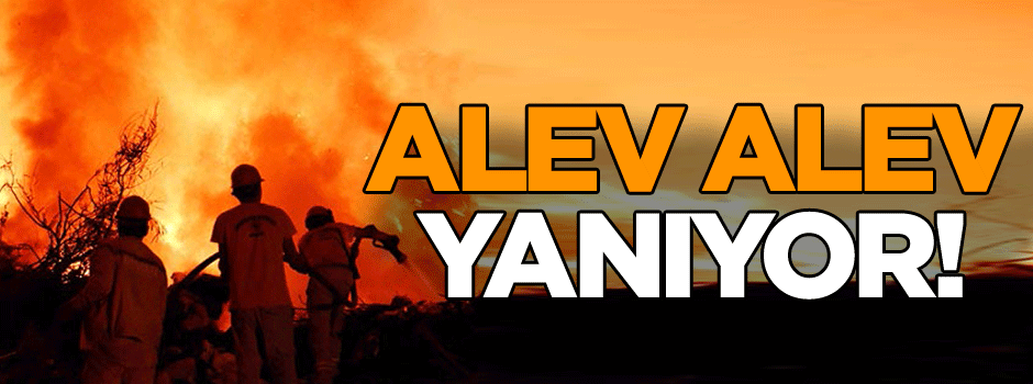 Alev alev yanıyor!