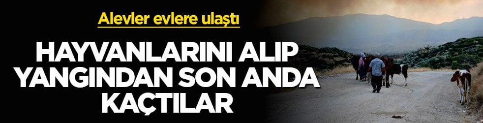 Alevler evlere ulaştı! Hayvanlarını alıp yangından son anda kaçtılar