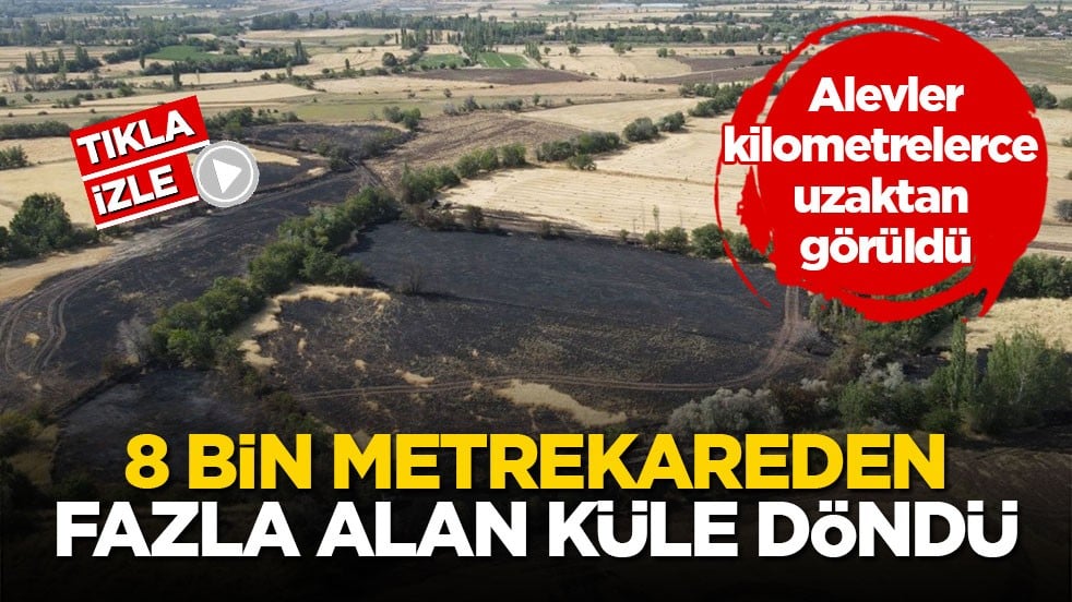 Alevler kilometrelerce uzaktan görüldü! 8 bin metrekareden fazla alan küle döndü