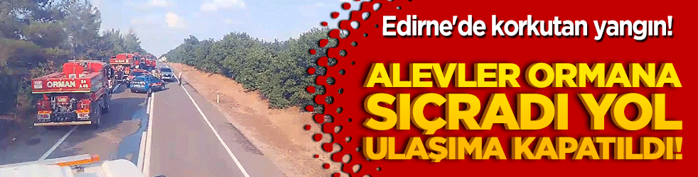 Alevler ormana sıçradı yol ulaşıma kapatıldı! Edirne'de korkutan yangın!