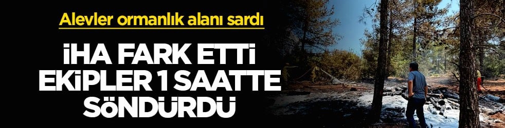 Alevler ormanlık alanı sardı! İHA fark etti, ekipler 1 saatte söndürdü
