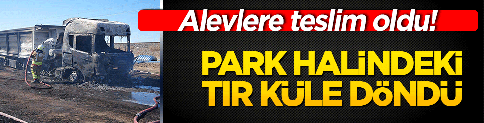 Alevler park halindeki tırı küle çevirdi!
