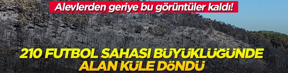Alevlerden geriye bu görüntüler kaldı! 210 futbol sahası büyüklüğünde alan küle döndü