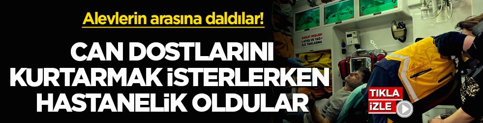 Alevlerin arasına daldılar! Can dostlarını kurtarmak isterlerken hastanelik oldular