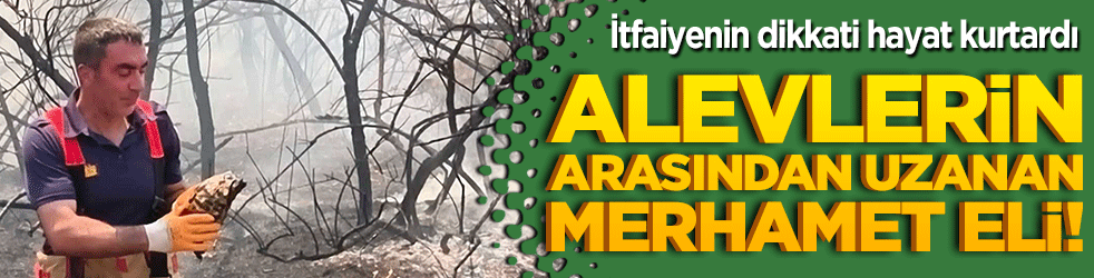 Alevlerin arasından uzanan merhamet eli! İtfaiyenin dikkati hayat kurtardı!