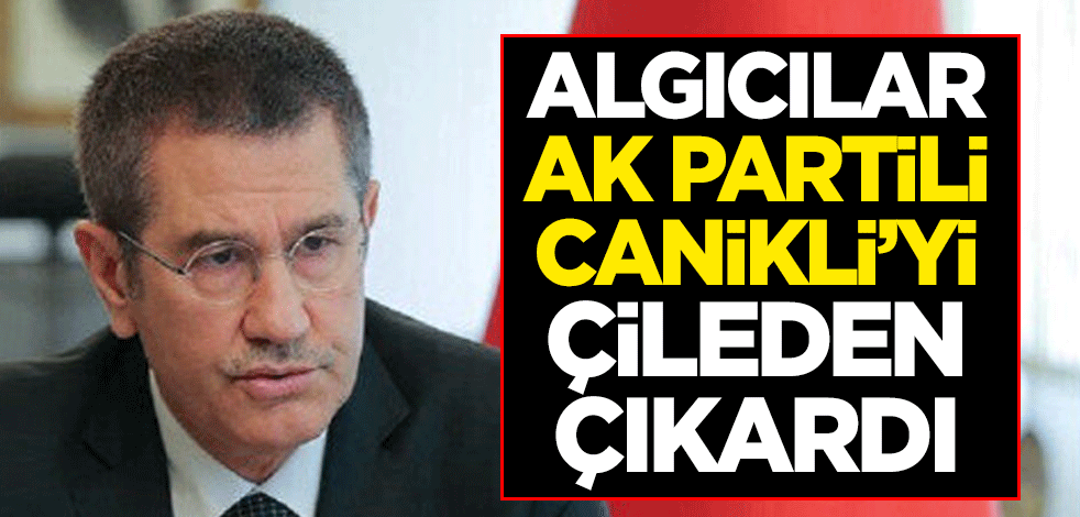 Algıcılar AK Partili Canikli’yi çileden çıkardı