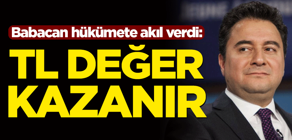 Ali Babacan hükümete akıl verdi: Türk Lirası değer kazanır