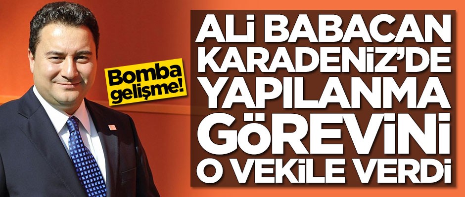 Ali Babacan Karadeniz'de yapılanma görevini o vekile verdi