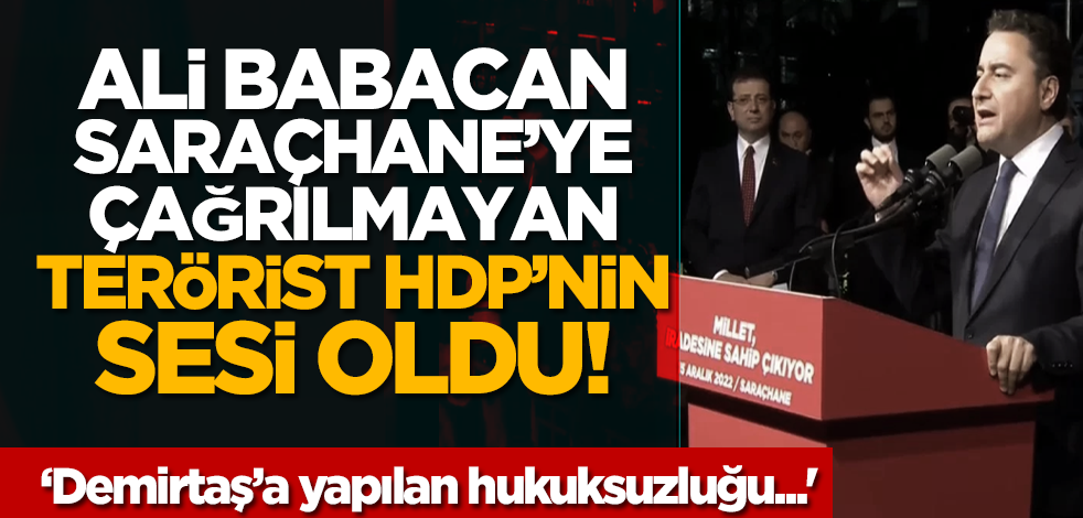 Ali Babacan, Saraçhane’ye çağrılmayan terörist HDP’nin sesi oldu: ‘Demirtaş’a yapılan hukuksuzluğu...'