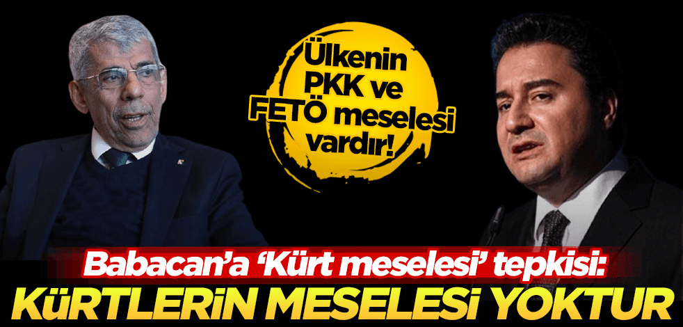 Ali Babacan’a o isimden "Kürt meselesi" tepkisi: Kürtlerin tarihsel katil partisi CHP’dir ve sen de onlarla yürüyorsun!