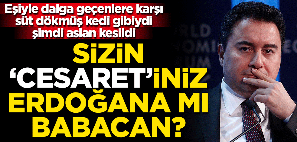 Ali Babacan’dan büyük vefasızlık! Sizin cesaretiniz, Erdoğan'a mı?