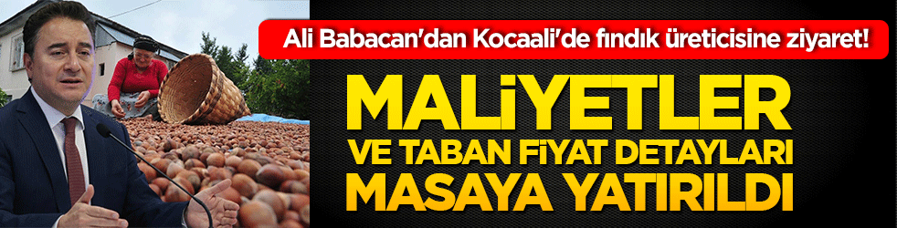 Ali Babacan'dan Kocaali'de fındık üreticisine ziyaret! Maliyetler ve taban fiyat detayları masaya yatırıldı!