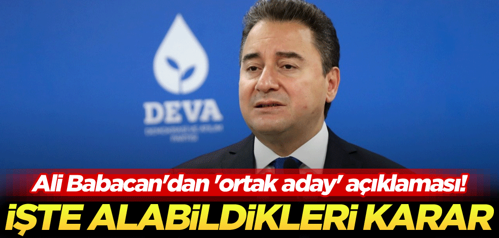 Ali Babacan'dan 'ortak aday' açıklaması! İşte alabildikleri karar