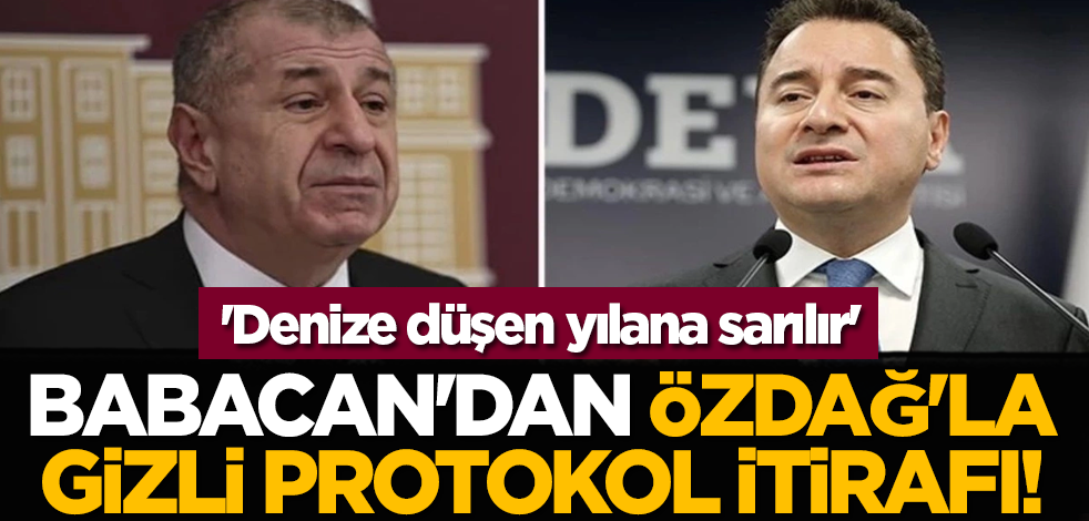 Ali Babacan'dan Ümit Özdağ'la gizli protokol itirafı! 'Denize düşen yılana sarılır'