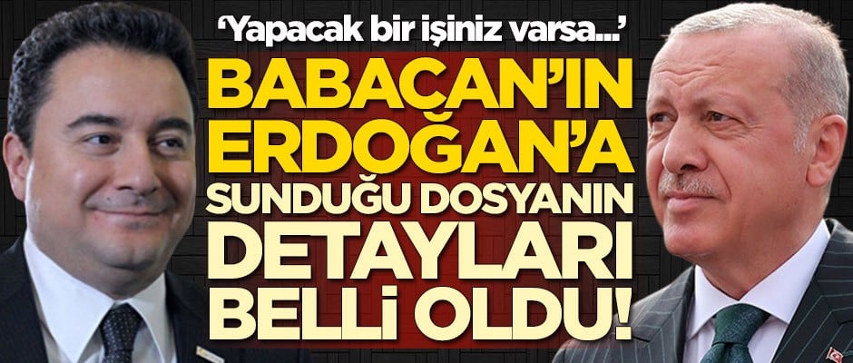 Ali Babacan'ın Erdoğan'a sunduğu dosyanın detayları belli oldu!