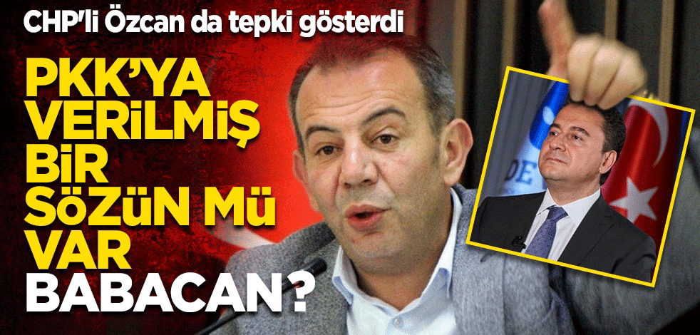 Ali Babacan'ın SİHA'lara yönelik ifadelerine CHP'li Özcan tepki gösterdi: PKK'ya akşamdan verilmiş sözün mü var?