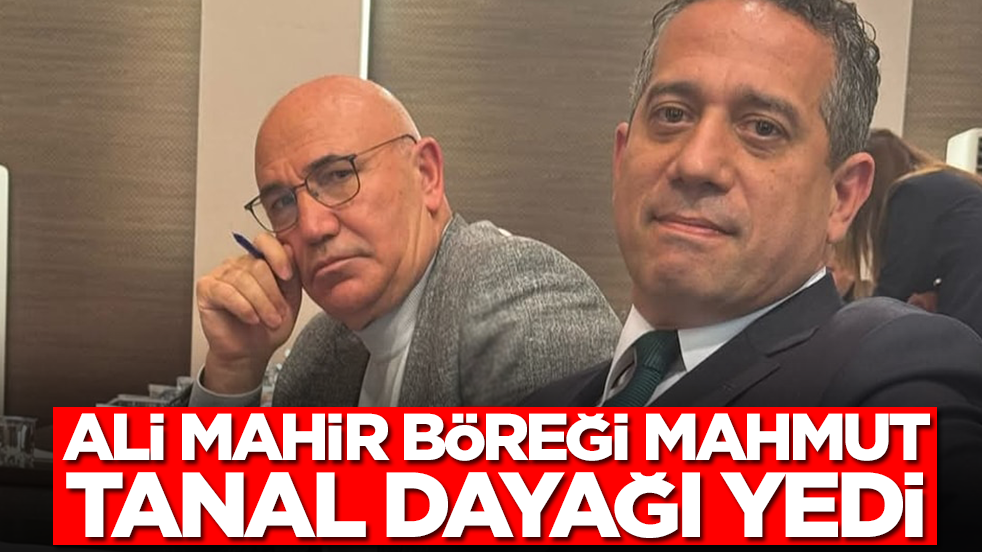 Ali Mahir Başarır böreği Mahmut Tanal dayağı yedi