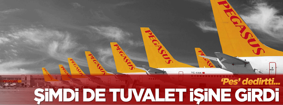 Ali Sabancı: Uçaklarda tuvaletler ücretli olabilir