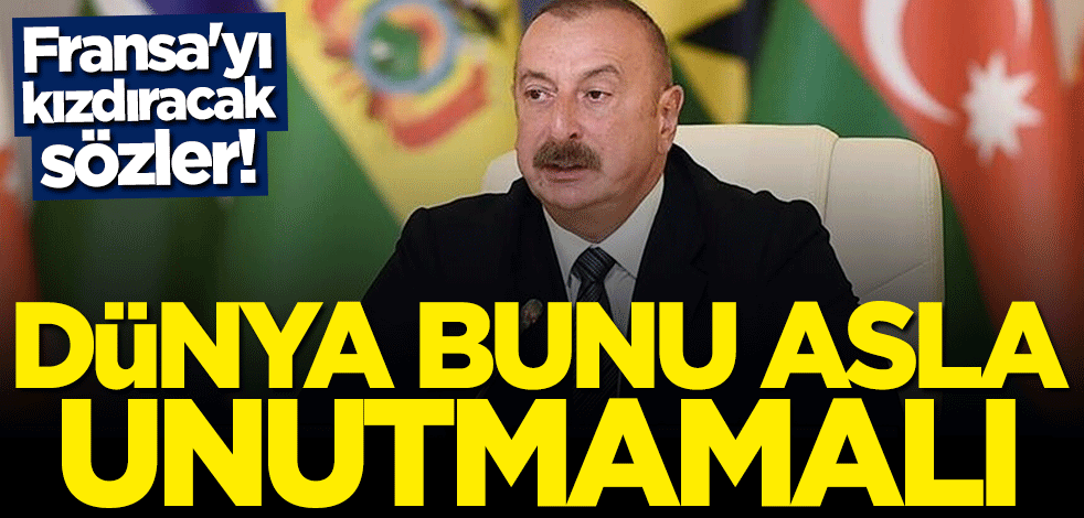 Aliyev'den Fransa'yı kızdıracak açıklama: Dünya bunu asla unutmamalı