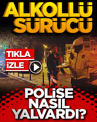 Alkollü sürücü polise böyle yalvardı 