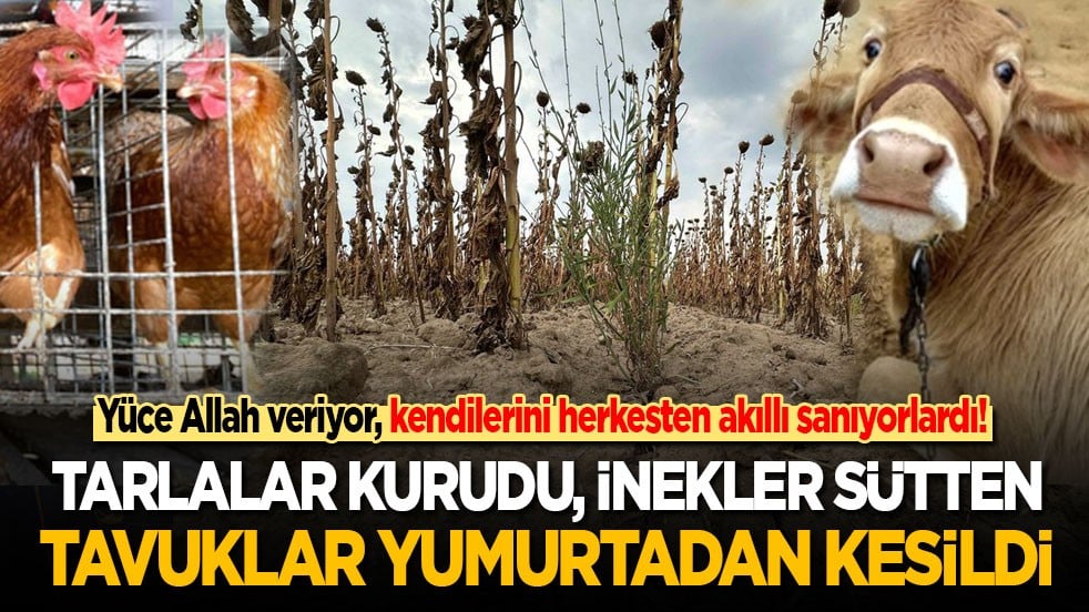 Allah veriyor, kendilerini herkesten akıllı sanıyorlardı! Tarlalar kurudu, inekler sütten tavuklar yumurtadan kesildi