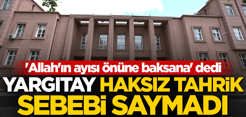 'Allah'ın ayısı önüne baksana' dedi... Yargıtay haksız tahrik sebebi saymadı!