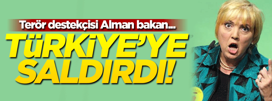 Alman bakandan alçak ifadeler!