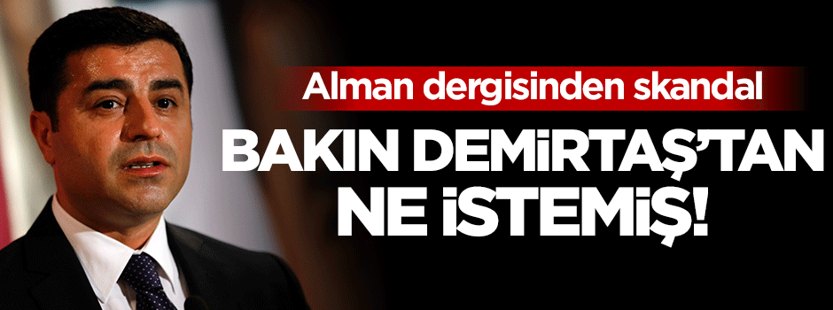 Alman dergisi Demirtaş'tan bakın ne istemiş!