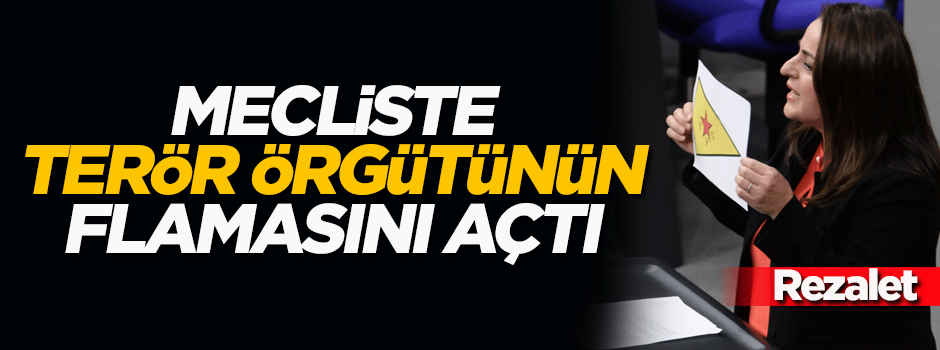 Alman meclisinde skandal! Terör örgütünün bayrağını açtı