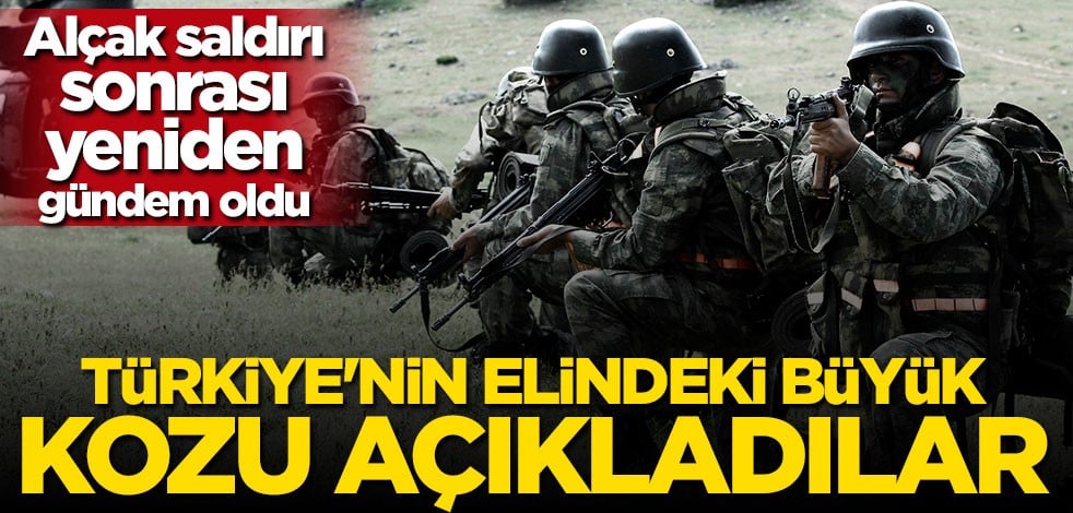 Alman medyası Türkiye'nin elindeki büyük kozu açıkladı