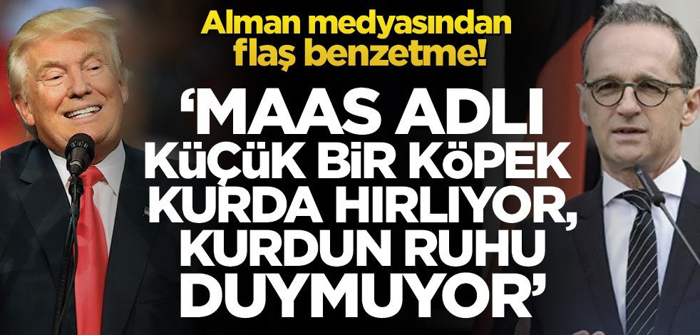 Alman medyasından olay benzetme! ‘Maas adlı küçük bir köpek, kurda hırlıyor, kurdun ruhu duymuyor'