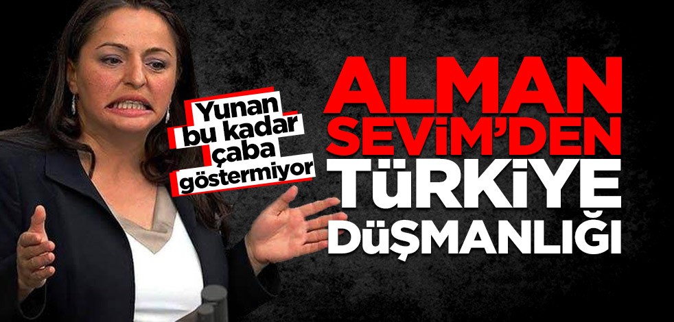  Alman Sevim: Türkiye-Libya anlaşması iptal edilsin