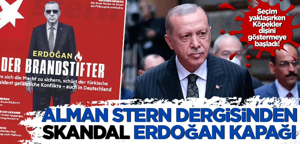 Alman Stern dergisinden skandal Erdoğan kapağı