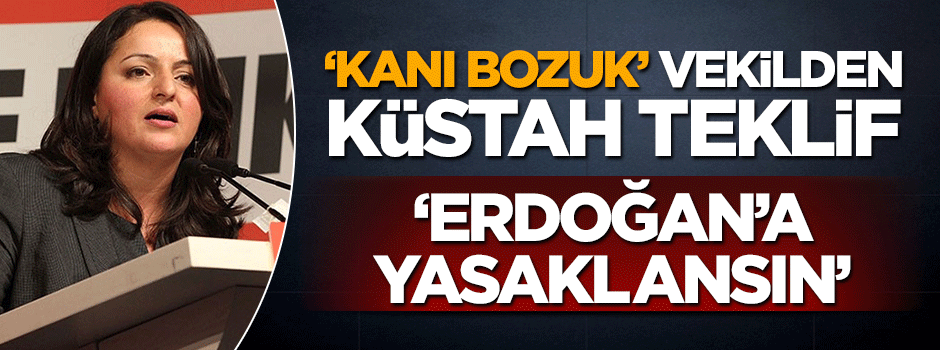 Alman vekil bozuntusundan küstah sözler