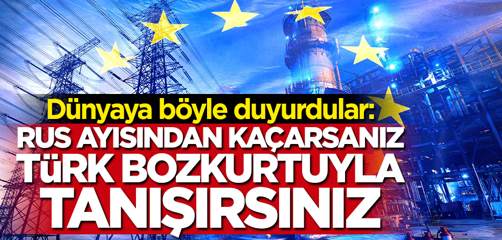 Almanlardan bomba itiraf: Rus ayısından kaçarsanız Türk bozkurtuyla tanışırsınız