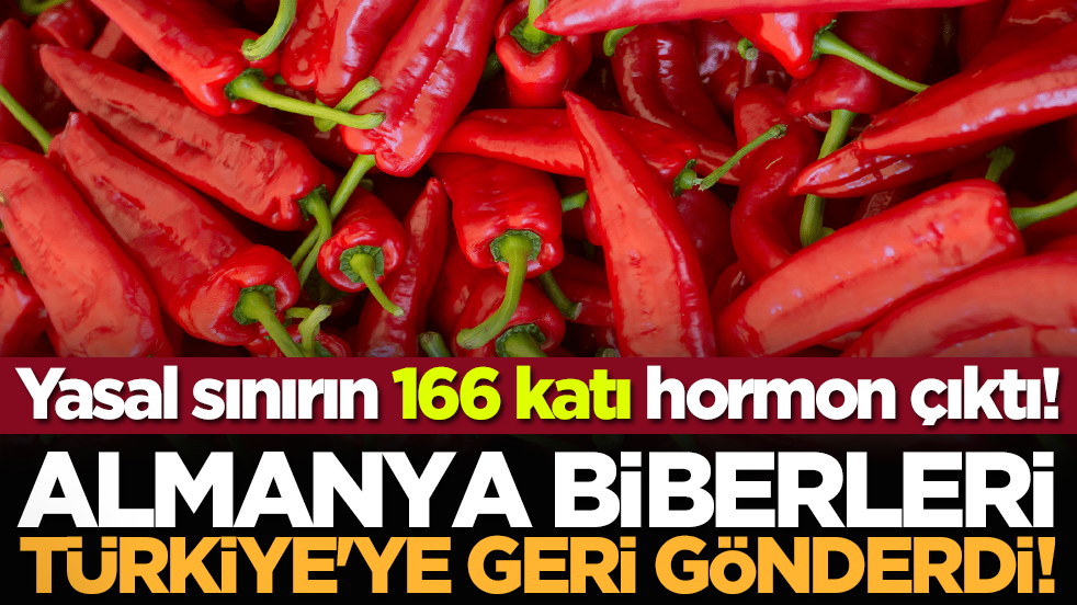 Almanya biberleri Türkiye'ye geri gönderdi! Yasal sınırın 166 kat üzerinde hormon çıktı! Kim bilir bize neler yediriyorlar!
