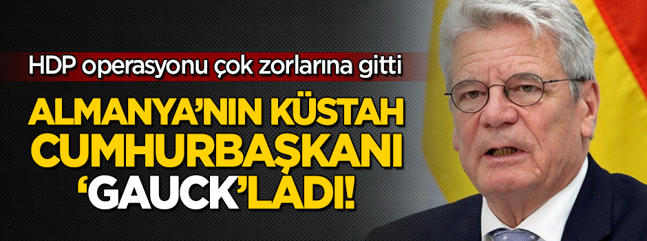 Almanya Cumhurbaşkanı'ndan küstah açıklama!