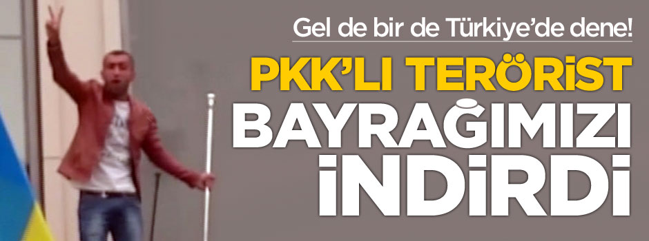 Almanya'da bir terörist Türk Bayrağı'nı indirdi