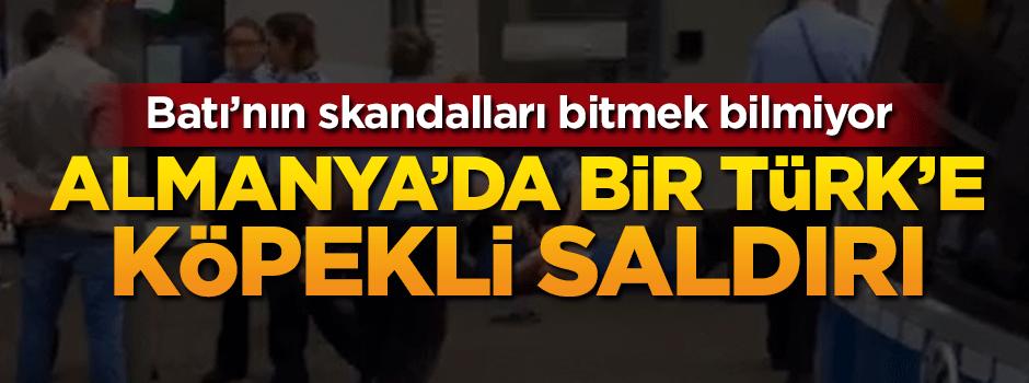 Almanya'da bir Türk'e köpekli saldırı