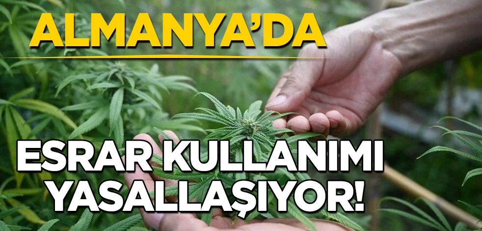 Almanya'da bu olay herkesi şok etti: esrar kullanımı yasallaşıyor! İkna isteği, söz konusu konu kapanmadı!
