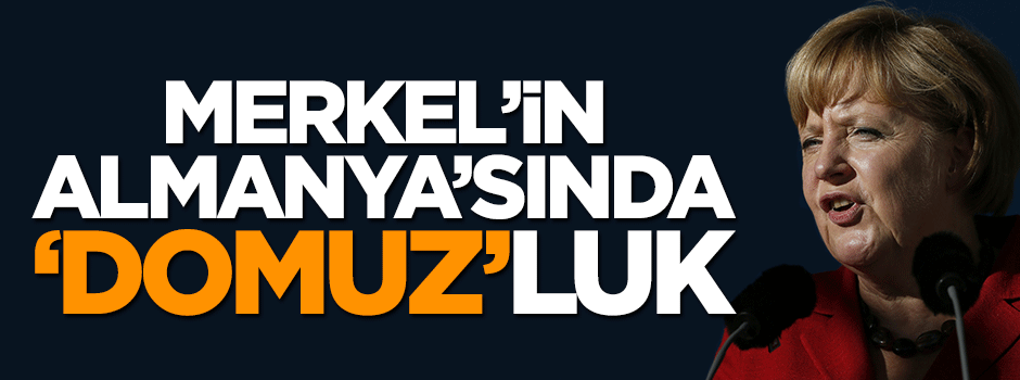 Almanya'da 'Domuz'lardan camiye saldırı