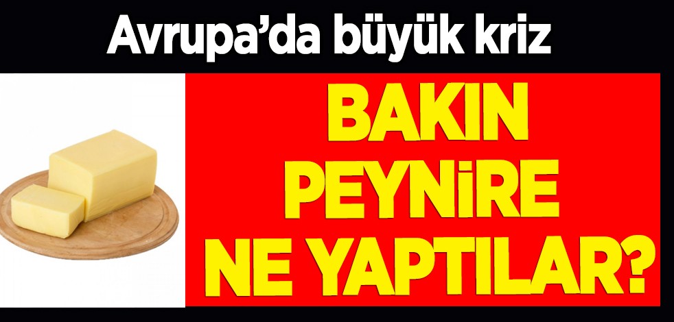 Almanya’da gündem peynir! Avrupa, zamlanan yağ ve peynire alarm takılmasını tartışıyor